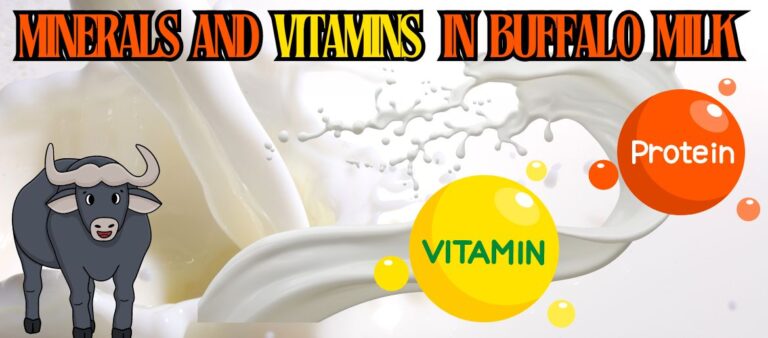 MINERALS AND VITAMINS in buffalo milk