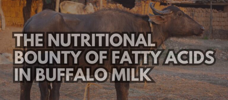 THE NUTRITIONAL BOUNTY OF FATTY ACIDS IN BUFFALO MILK