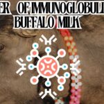 THE POWER OF IMMUNOGLOBULINS IN BUFFALO MILK