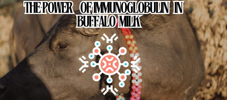 THE POWER OF IMMUNOGLOBULINS IN BUFFALO MILK