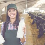 Woman with buffalo milk in a barn.