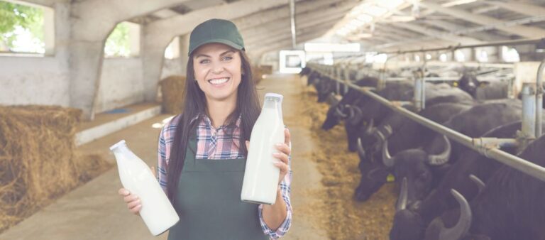 Woman with buffalo milk in a barn.