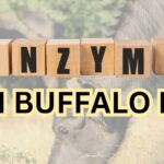 enzymes in buffalo milk