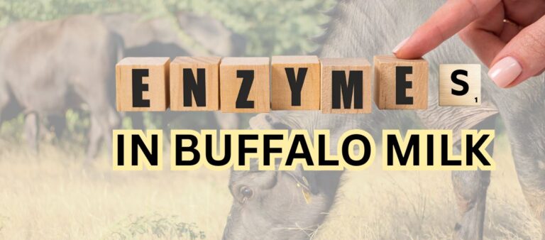 enzymes in buffalo milk