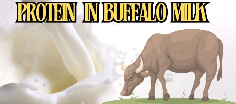 protein in buffalo milk