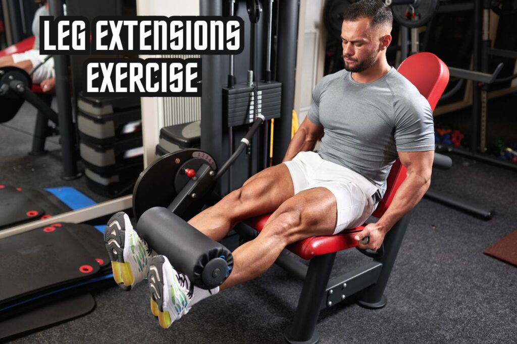 LEG EXTENSION exercise