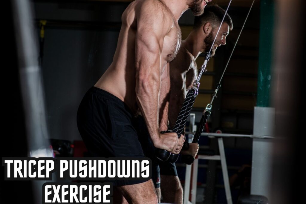 Tricep Pushdown exercise