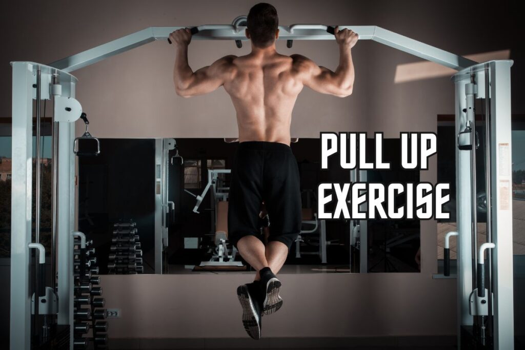 pull up exercise