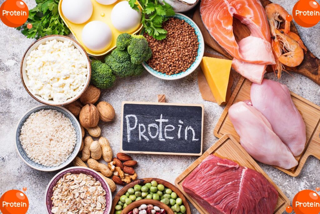 Various protein-rich foods including eggs, chicken, salmon, shrimp, cheese, broccoli, nuts, lentils, rice, and beans. A small chalkboard in the center reads "Protein."